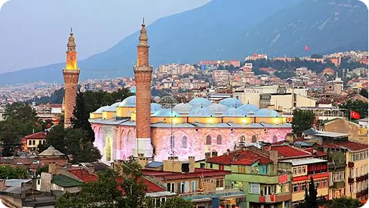 Bursa